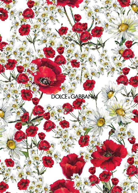 [100+] Dolce And Gabbana Backgrounds 